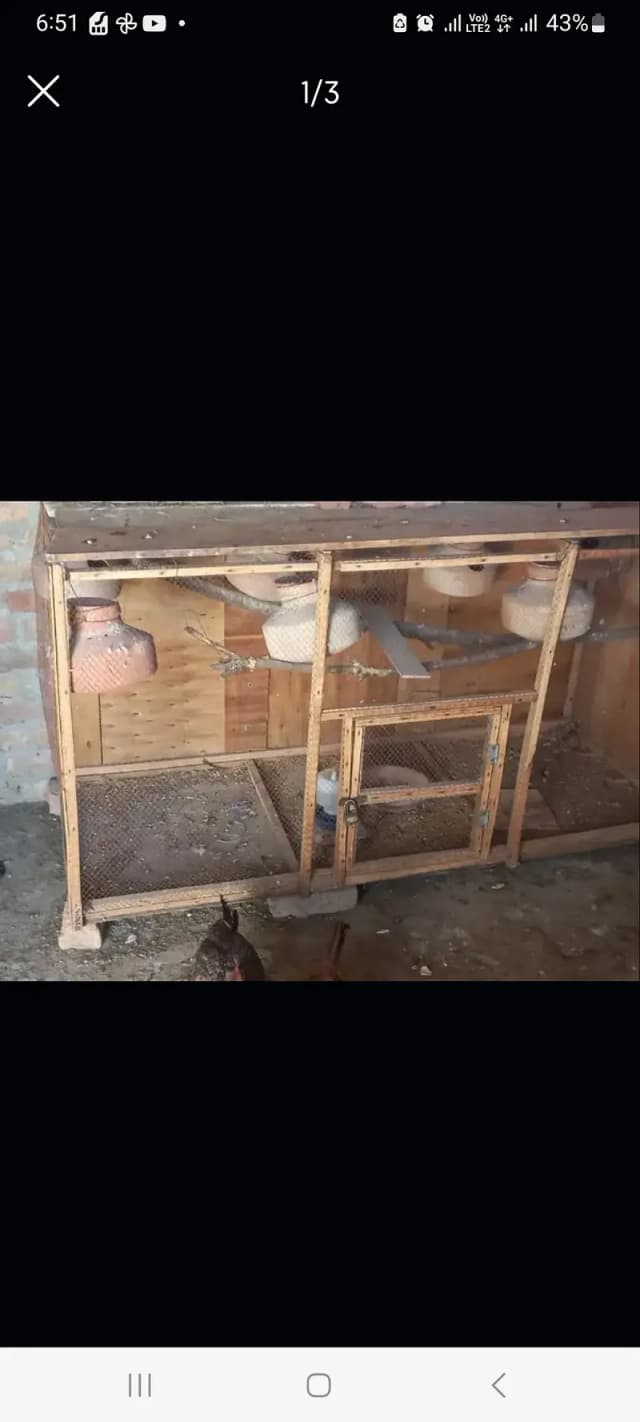 parrot cage