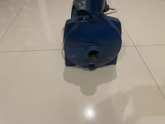 Pedrollo Water Pump