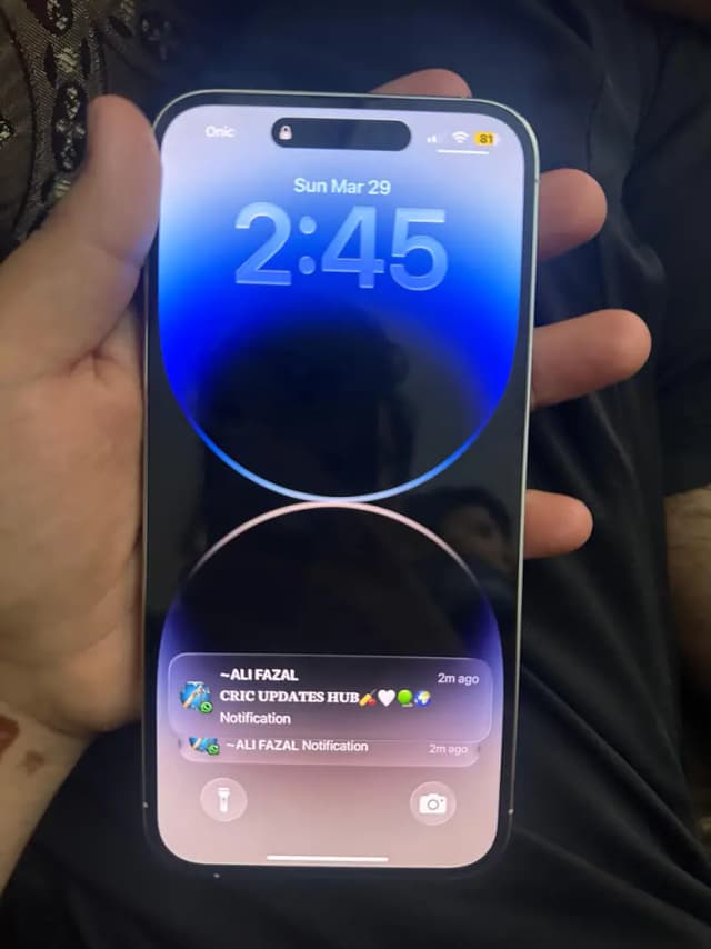 14 pro max