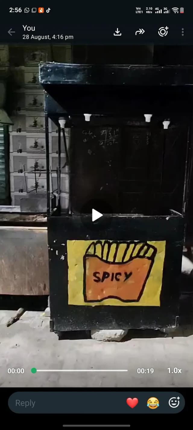 Fries stall for sell new condition