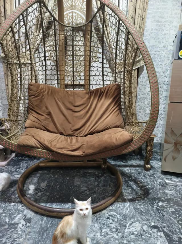 swing chair for sale with cousin
