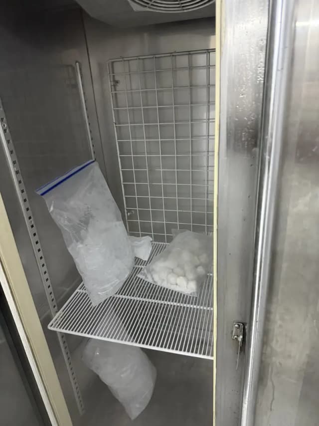 Italian freezers no frost -22