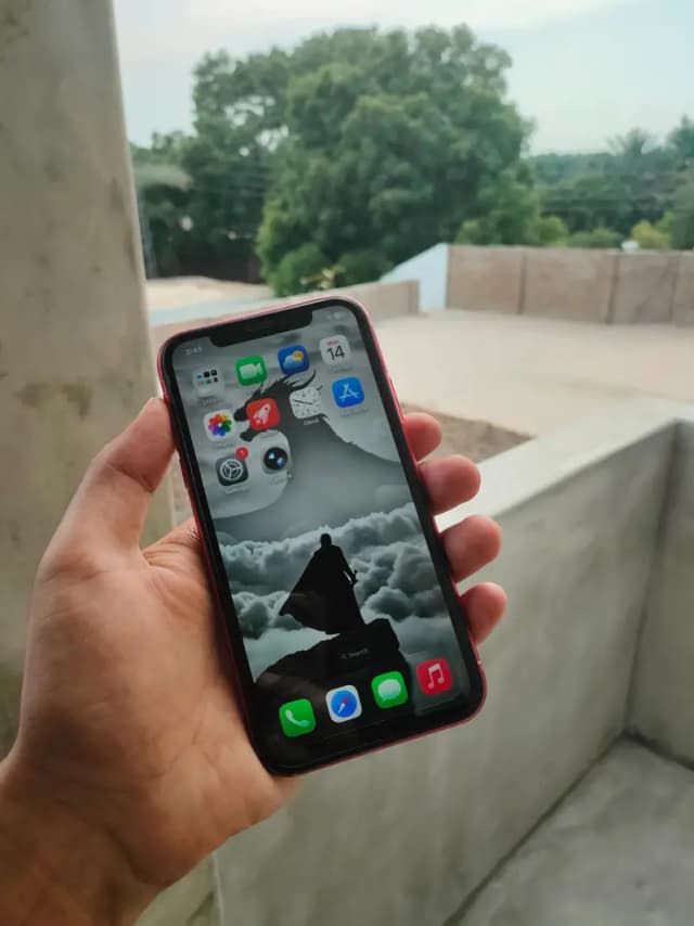 Apple iPhone 11 ( Mint Condition )